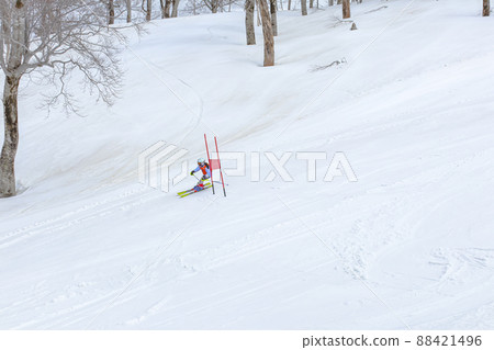 [Okutadami Maruyama Ski Resort]（魚沼市）春季滑雪季節 88421496