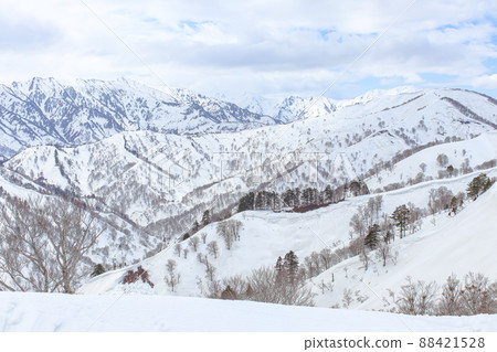 [Okutadami Maruyama Ski Resort]（魚沼市）春季滑雪季節 88421528