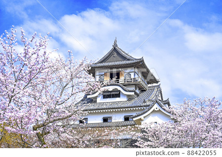 National treasure Inuyama castle 88422055