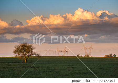 Rural landscape, Buenos Aires province , Argentina 88422301