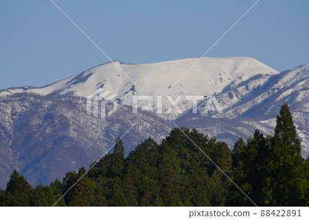 從櫻花盛開的新谷淡墨櫻花公園看到的野後白山和剩餘的雪 從櫻花盛開的新谷淡墨櫻花公園看到的野後白山和剩餘的雪 88422891