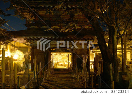 Kegonji Temple in the middle of the night when the cherry blossoms are in full bloom 88423214