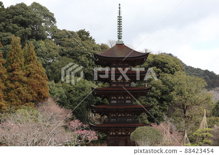 Scenery of spring cherry blossoms at Rurikoji Temple in Yamaguchi Scenery of spring cherry blossoms at Rurikoji Temple in Yamaguchi 88423454