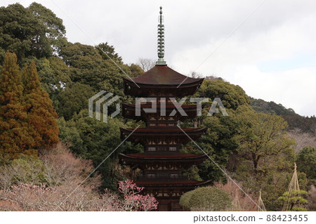 Scenery of spring cherry blossoms at Rurikoji Temple in Yamaguchi Scenery of spring cherry blossoms at Rurikoji Temple in Yamaguchi 88423455