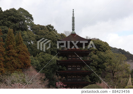 Scenery of spring cherry blossoms at Rurikoji Temple in Yamaguchi Scenery of spring cherry blossoms at Rurikoji Temple in Yamaguchi 88423456