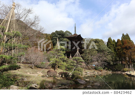 Scenery of spring cherry blossoms at Rurikoji Temple in Yamaguchi Scenery of spring cherry blossoms at Rurikoji Temple in Yamaguchi 88423462