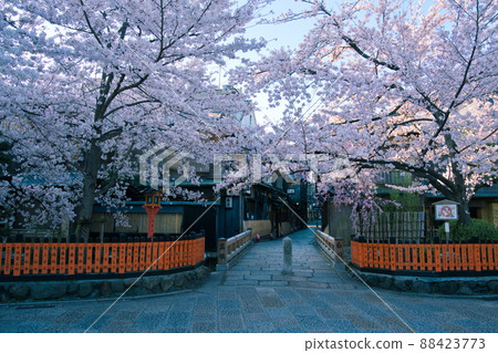 Sakura scenery of Kyoto Gion Shirakawa Tatsumi Bridge Sakura scenery of Kyoto Gion Shirakawa Tatsumi Bridge 88423773