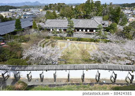 Kakegawa Castle God Kakegawa Castle God 88424381