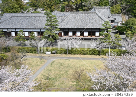 Kakegawa Castle God 88424389