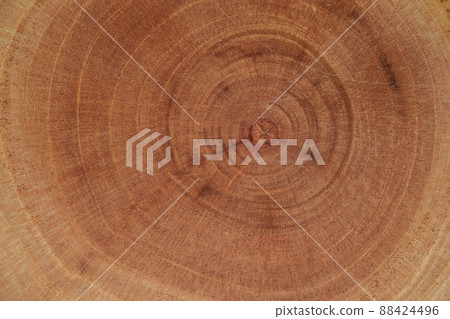 wooden surface with tree rings visible 88424496