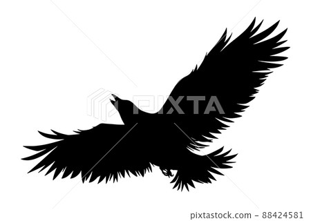 flying crow 88424581