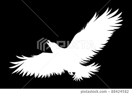 flying crow flying crow 88424582