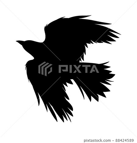 flying crow 88424589