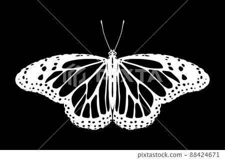 Butterfly Butterfly 88424671