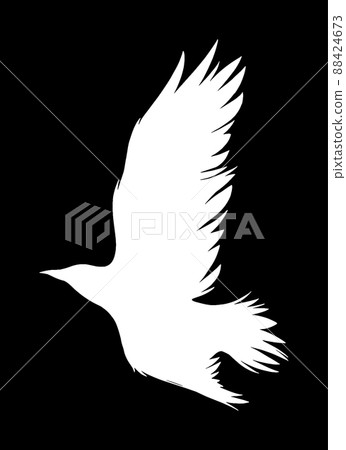 flying crow flying crow 88424673
