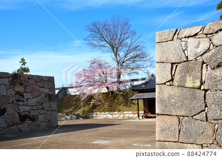 春天的赤穗城遺址 88424774