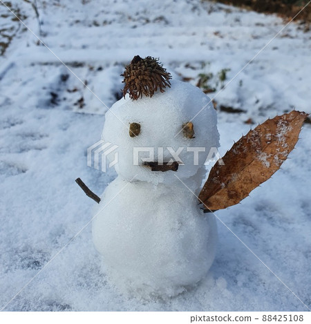 帶帽子的小雪人 帶帽子的小雪人 88425108