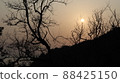 Sunset at Seonnyeobawi Beach and Eulwangni Beach in Yeongjongdo Island 88425150