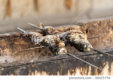 Salt-grilled rainbow trout Salt-grilled rainbow trout 88425756
