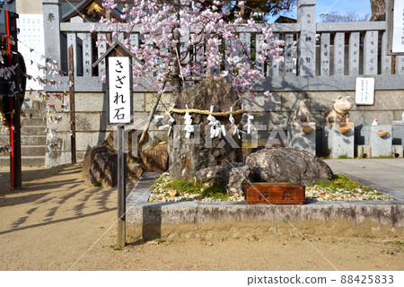 Tadaomizo's hometown Ako Oishi Shrine 88425833
