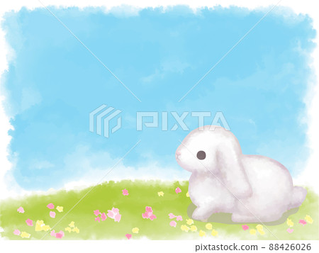 Rabbit with hanging ears in a flower field 88426026