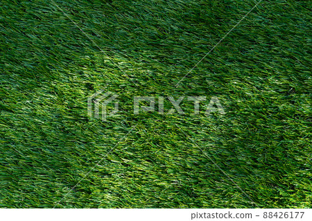 abstract grass background abstract grass background 88426177