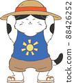 Children's cat wearing a straw hat and sandals 88426252