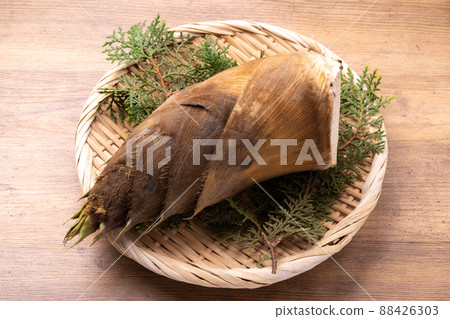 bambooshoot bambooshoot 88426303