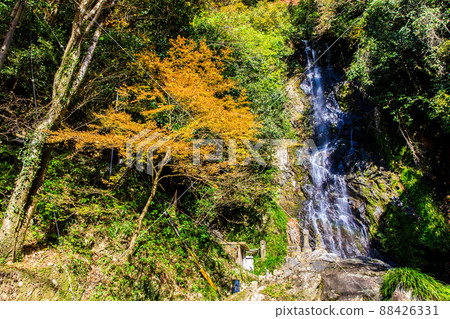 清水瀑布的紅葉[佐賀縣小木市] 88426331