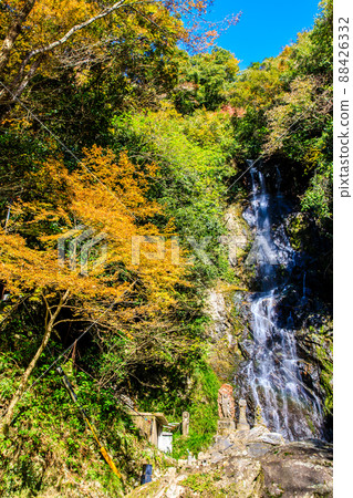清水瀑布的紅葉[佐賀縣小木市] 88426332