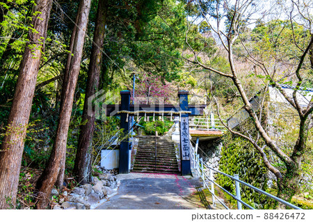 七面山妙高寺[長崎市] 88426472