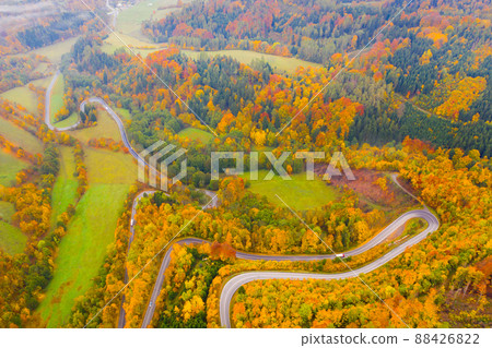 Aerial view of road between trees in autumn Aerial view of road between trees in autumn 88426822
