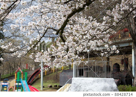 櫻花盛開的片山公園 櫻花盛開的片山公園 88428714
