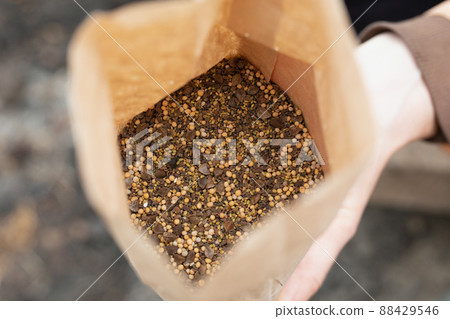 seeds of siderates as fast growing green manure in paper bag. 88429546