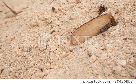 Sawdust stacked in a slide with a log in the middle. The background is made of natural sawdust. Recycling of woodworking waste in the workshop. High quality photo 88430998