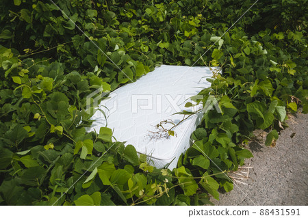 Illegal dumped mattress 88431591