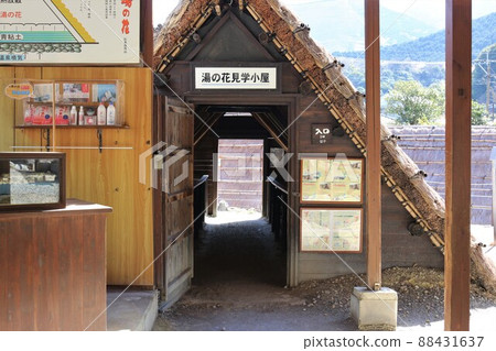 Alum hot spring Alum hot spring 88431637