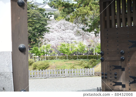 Odawara Castle Ruins Park and Sakura 88432008