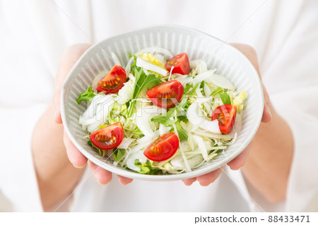 vegetable salad	 88433471