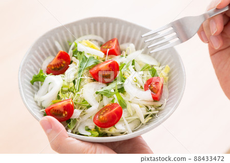 vegetable salad	 88433472