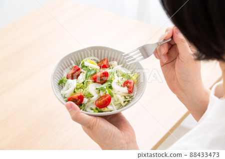 vegetable salad	 88433473