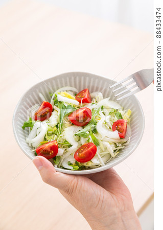 vegetable salad	 88433474