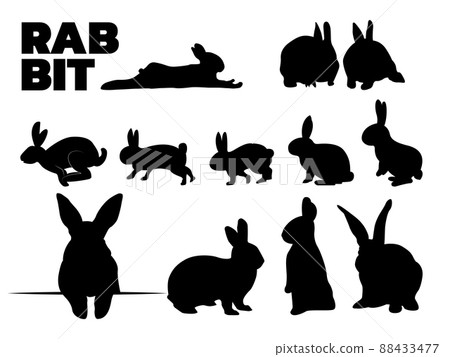 Rabbit Silhouette Set 88433477