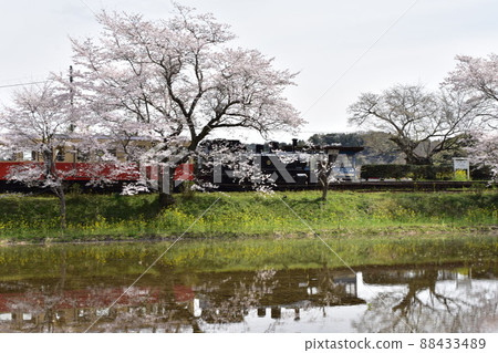 Kominato Railway Kominato Railway 88433489