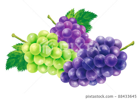 Grape Grape 03 Grape Grape 03 88433645