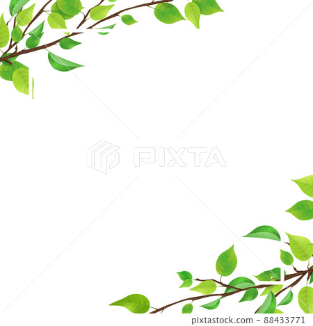 新鮮綠枝葉（PNG，透明，方形） 88433771