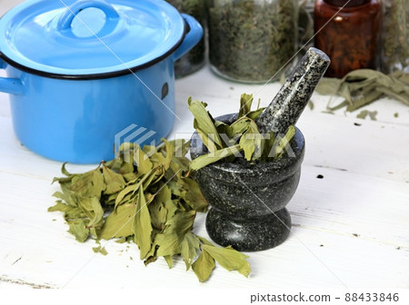 Dried lovage, famous culinary herb, lat. Levisticum officinale. Dried lovage, famous culinary herb, lat. Levisticum officinale. 88433846