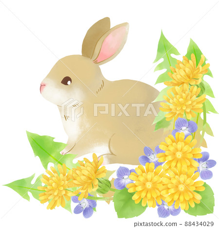Illustration of a rabbit surrounded by dandelion flowers 88434029