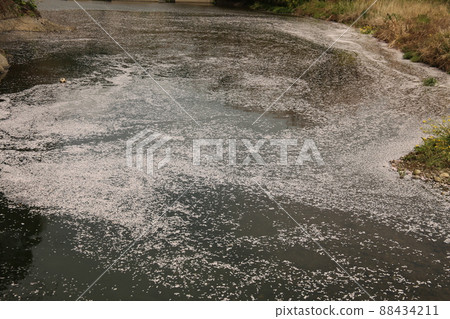 River raft flower raft River raft flower raft 88434211