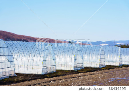 乙烯基的房子 88434295